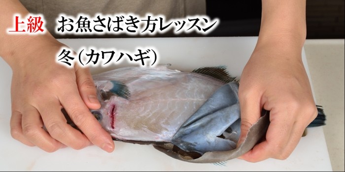 上級魚さばき　カワハギ　メイン